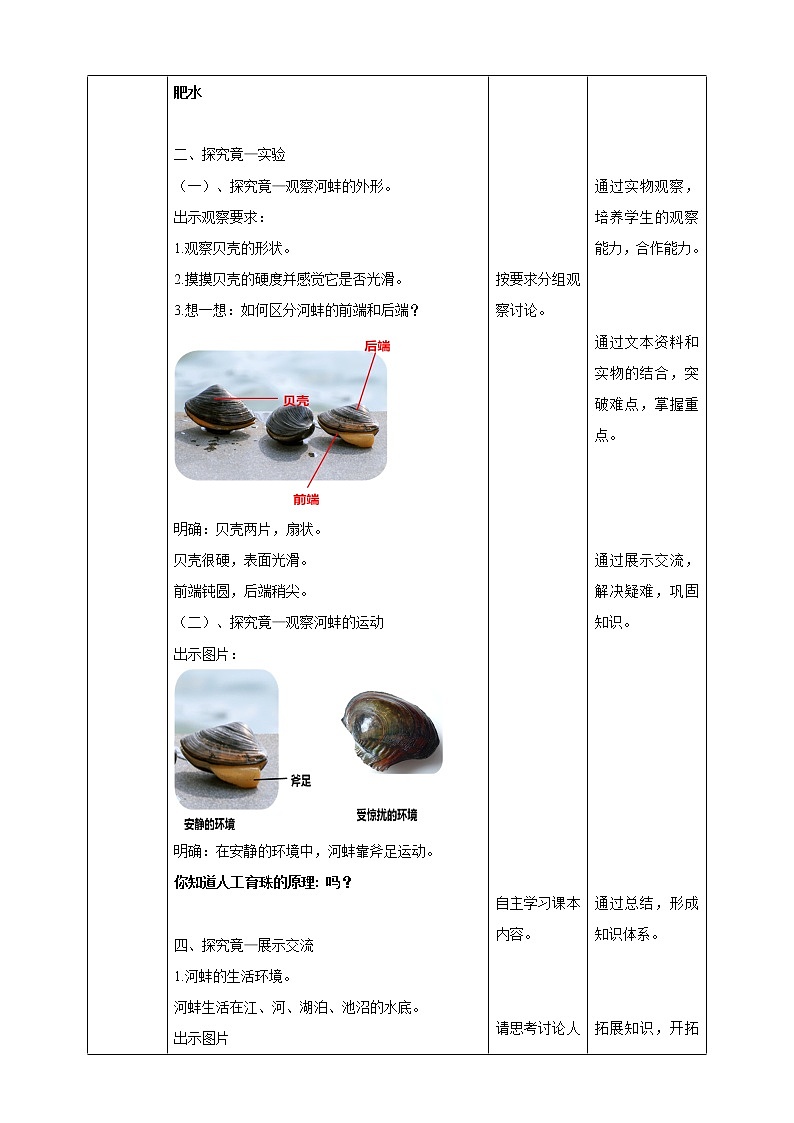冀教版生物七上4.4软体动物  课件+教案+练习+素材02