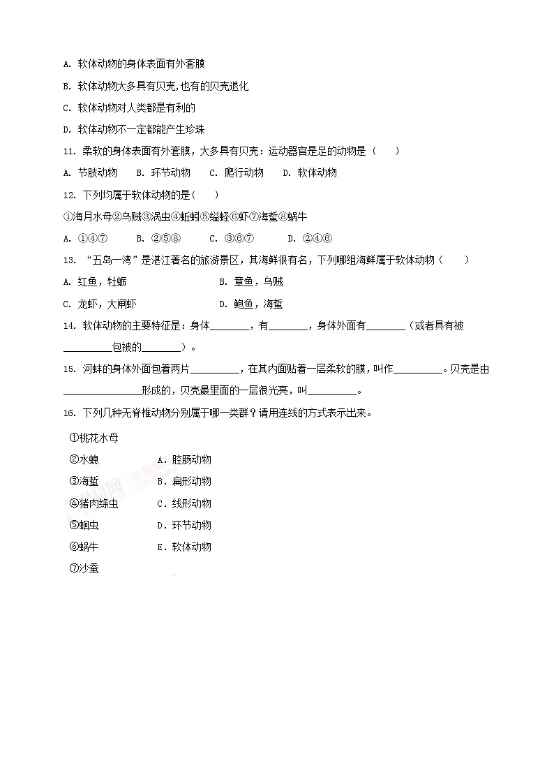 冀教版生物七上4.4软体动物  课件+教案+练习+素材02