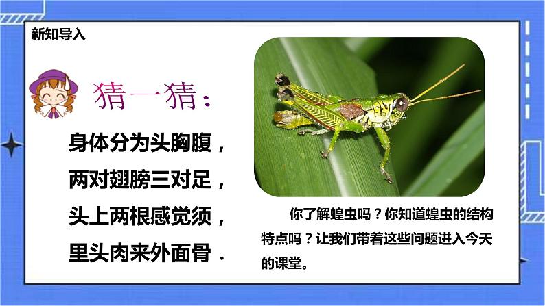 冀教版生物七上4.5节肢动物 课件+教案+练习02