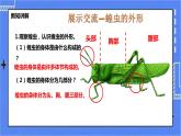 冀教版生物七上4.5节肢动物 课件+教案+练习