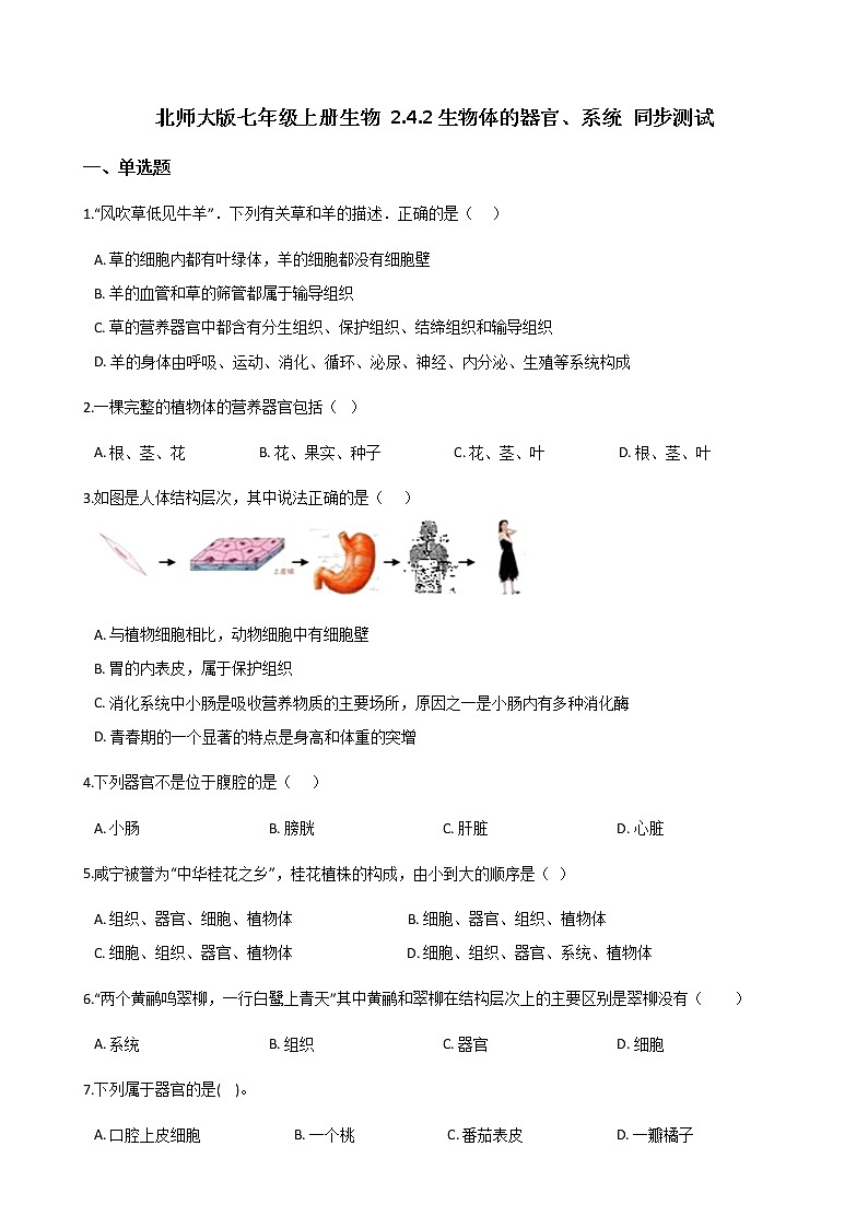 北师大版七年级上册生物 2.4.2生物体的器官、系统 同步测试01