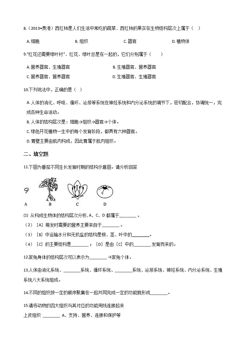 北师大版七年级上册生物 2.4.2生物体的器官、系统 同步测试02