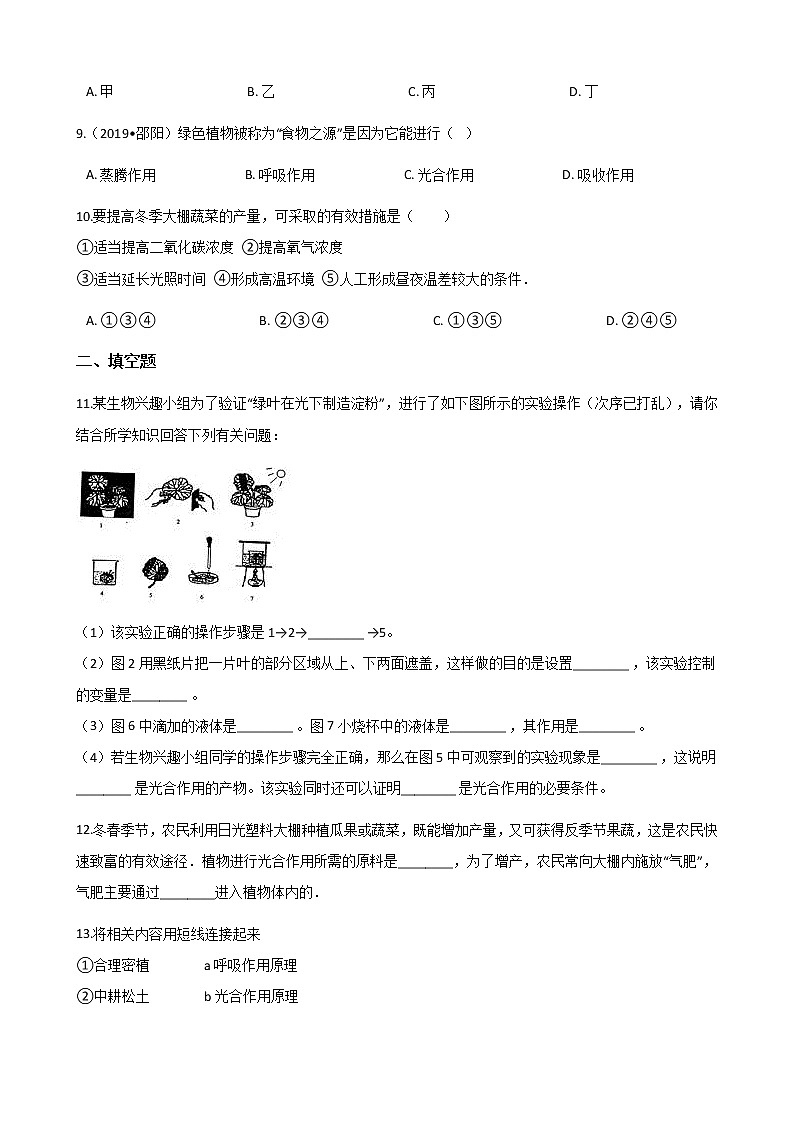 北师大版七年级上册生物 3.5.1光合作用 同步测试02