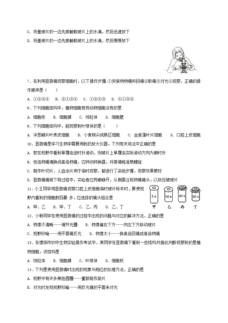 北师大版七年级上册生物 3.1 细胞的基本结构和功能 同步测试02