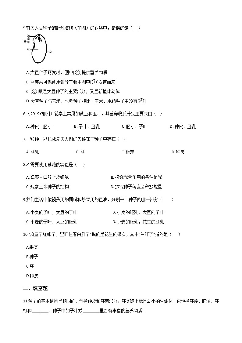 北师大版七年级上册生物 3.6.1种子萌发形成幼苗 同步测试02