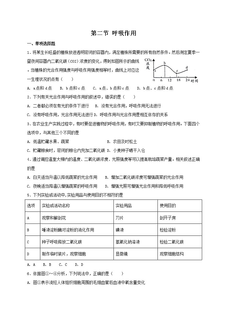 北师大版七年级上册生物 5.2 呼吸作用 同步测试01
