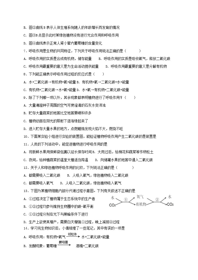 北师大版七年级上册生物 5.2 呼吸作用 同步测试02