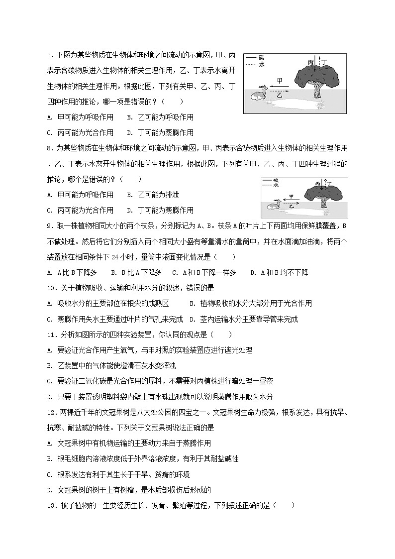 北师大版七年级上册生物 5.4 蒸腾作用 同步测试02