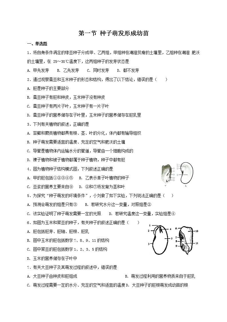 北师大版七年级上册生物 6.1 种子萌发形成幼苗 同步测试01