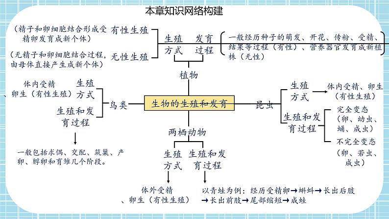 第七单元第1章 生物的生殖和发育（复习课件）——2022-2023学年人教版生物八年级下册单元综合复习02