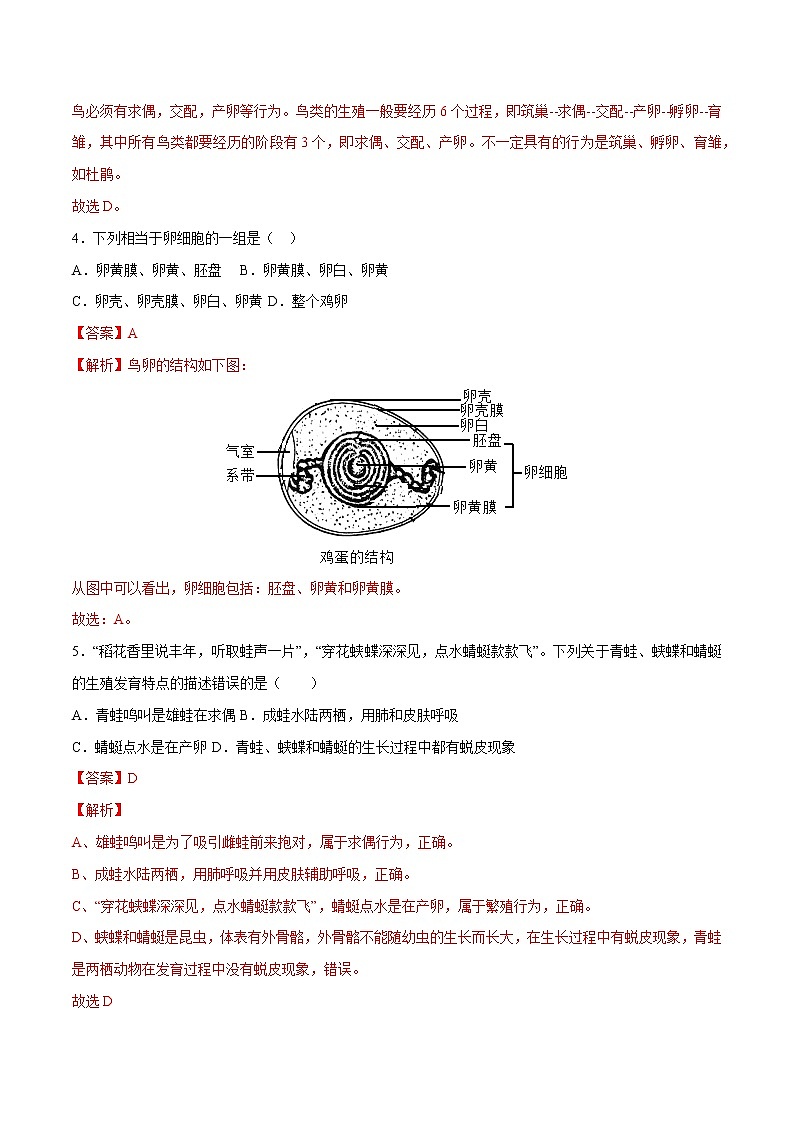 第七单元第1章 生物的生殖和发育（测试卷）——2022-2023学年人教版生物八年级下册单元综合复习（原卷版+解析版）02