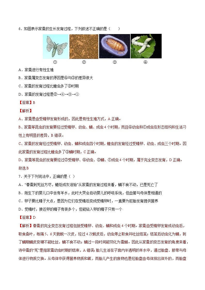 第七单元第1章 生物的生殖和发育（测试卷）——2022-2023学年人教版生物八年级下册单元综合复习（原卷版+解析版）03