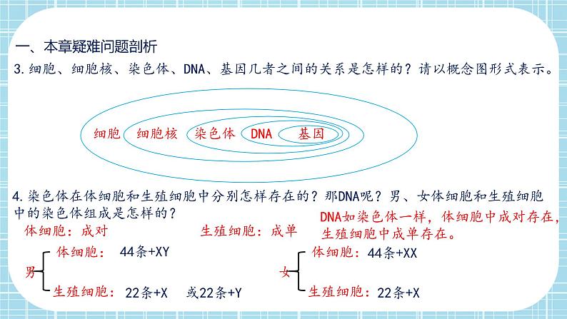 第七单元第2章 生物的遗传与变异（复习课件）- 2022-2023学年人教版生物八年级下册单元综合复习04