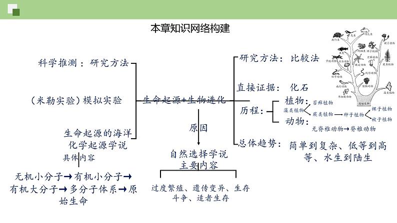 第七单元第3章 生命起源和生物进化（复习课件）——2022-2023学年人教版生物八年级下册单元综合复习02