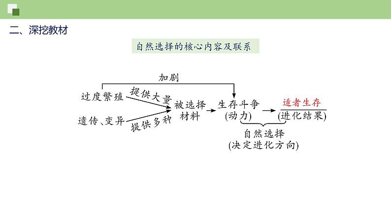 第七单元第3章 生命起源和生物进化（复习课件）——2022-2023学年人教版生物八年级下册单元综合复习07