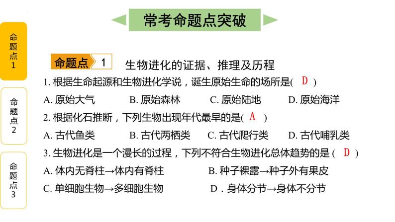 第七单元第3章 生命起源和生物进化（复习课件）——2022-2023学年人教版生物八年级下册单元综合复习08