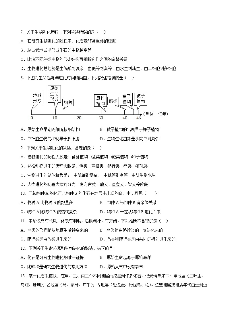 第七单元第3章 生命起源和生物进化（测试卷）——2022-2023学年人教版生物八年级下册单元综合复习（原卷版+解析版）02