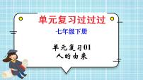 单元复习01 人的由来【知识梳理】——2022-2023学年人教版生物七年级下册单元综合复习课件PPT