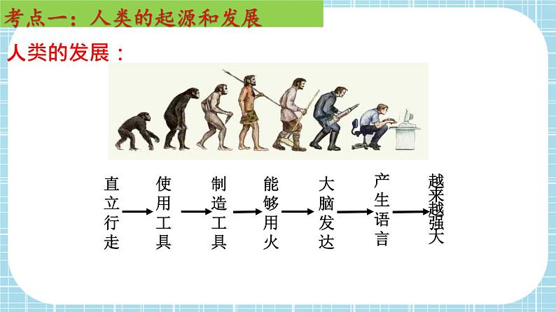 单元复习01 人的由来【知识梳理】——2022-2023学年人教版生物七年级下册单元综合复习课件PPT05