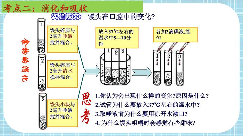 单元复习02 人体的营养【知识梳理】——2022-2023学年人教版生物七年级下册单元综合复习课件PPT07