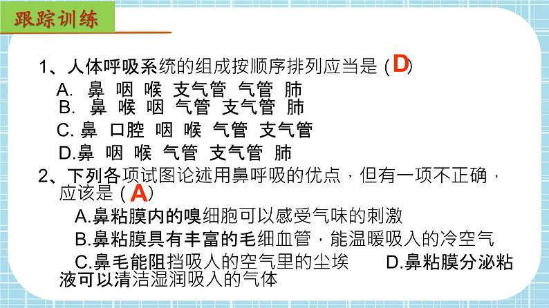 单元复习03 人体的呼吸【知识梳理】——2022-2023学年人教版生物七年级下册单元综合复习课件PPT05