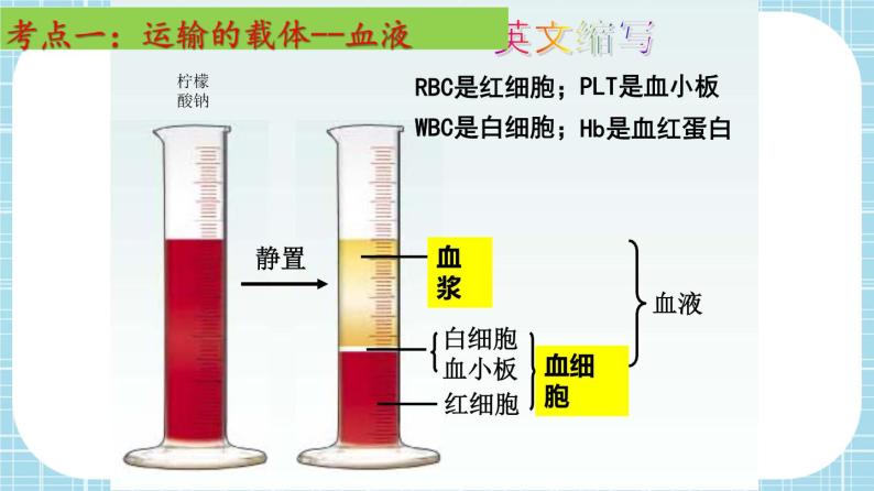 单元复习04 人体内物质的运输【知识梳理】——2022-2023学年人教版生物七年级下册单元综合复习课件PPT03