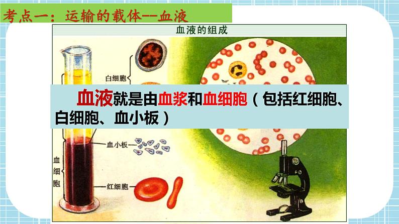 单元复习04 人体内物质的运输【知识梳理】——2022-2023学年人教版生物七年级下册单元综合复习课件PPT04