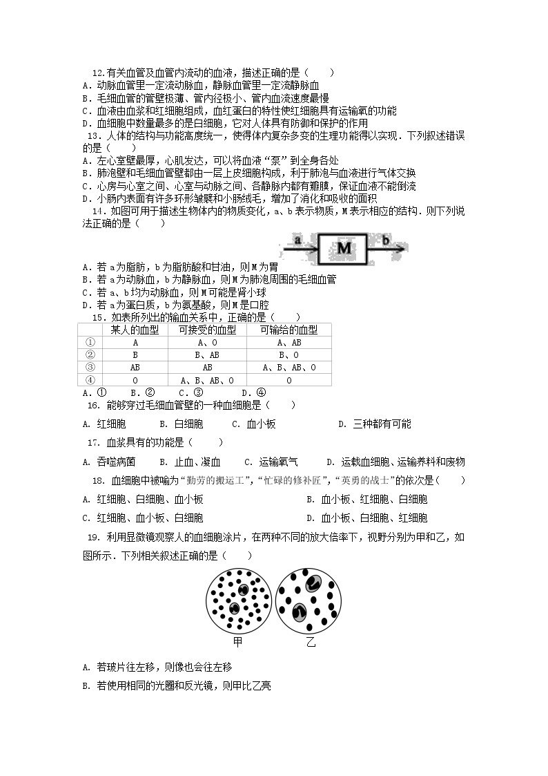 单元复习04 人体内物质的运输【专项练习】——2022-2023学年人教版生物七年级下册单元综合复习（原卷版+解析版）02