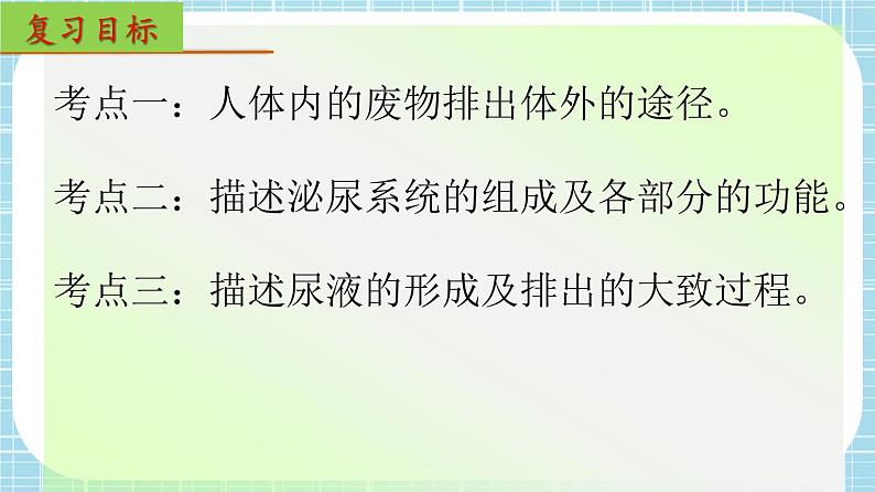 单元复习05 人体内废物的排出【知识梳理】——2022-2023学年人教版生物七年级下册单元综合复习课件PPT第2页