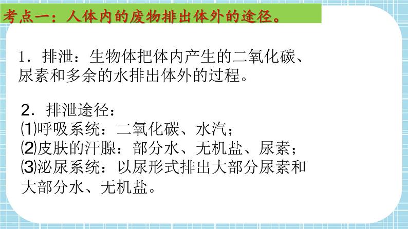 单元复习05 人体内废物的排出【知识梳理】——2022-2023学年人教版生物七年级下册单元综合复习课件PPT第3页