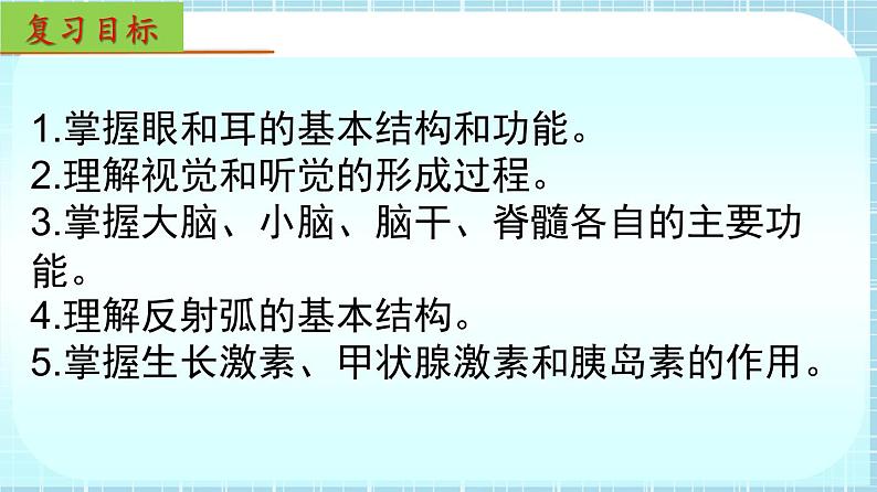 单元复习06 人体生命活动的调节【知识梳理】——2022-2023学年人教版生物七年级下册单元综合复习课件PPT02