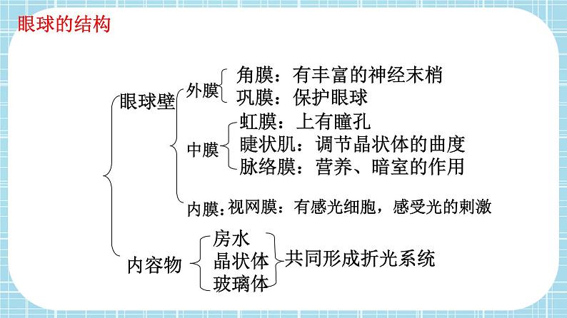 单元复习06 人体生命活动的调节【知识梳理】——2022-2023学年人教版生物七年级下册单元综合复习课件PPT04