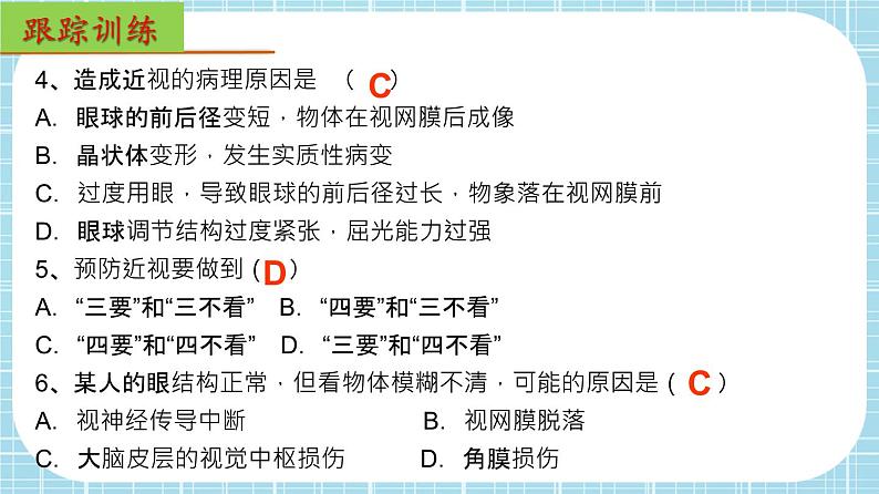 单元复习06 人体生命活动的调节【知识梳理】——2022-2023学年人教版生物七年级下册单元综合复习课件PPT08