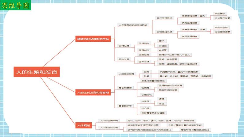 单元复习01 人的生殖和发育（复习课件）——2022-2023学年人教版生物七年级下册单元综合复习03