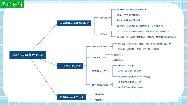 单元复习02 人的食物来自环境（复习课件）——2022-2023学年人教版生物七年级下册单元综合复习03