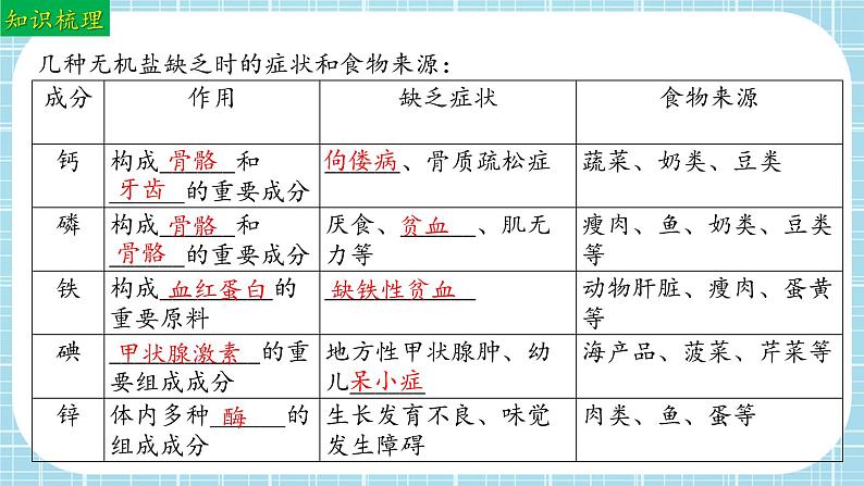 单元复习02 人的食物来自环境（复习课件）——2022-2023学年人教版生物七年级下册单元综合复习07