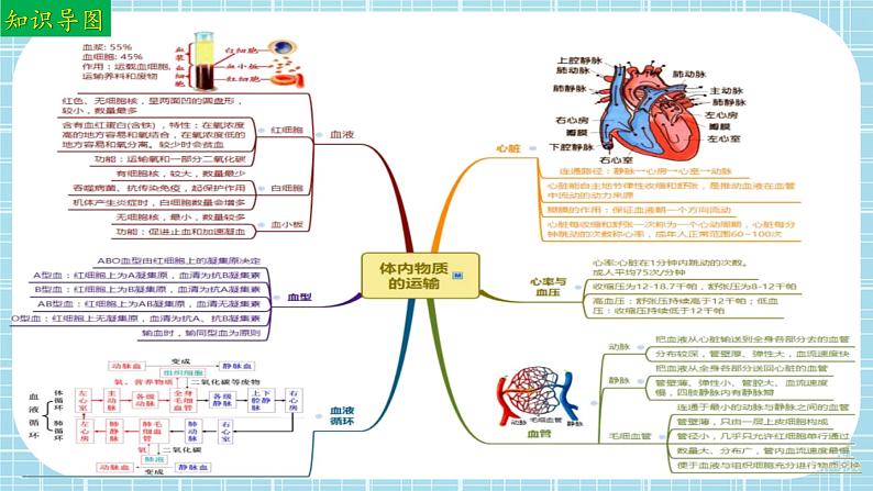 单元复习03 人体内的物质运输和能量供给（复习课件）——2022-2023学年度人教版生物七年级下册单元综合复习03