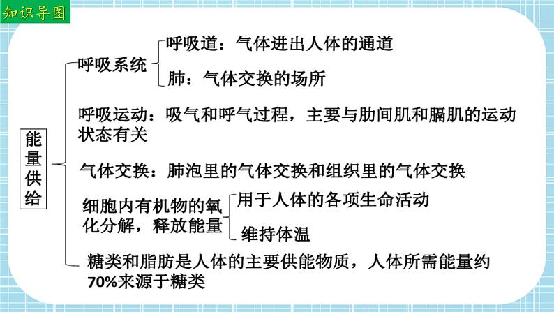 单元复习03 人体内的物质运输和能量供给（复习课件）——2022-2023学年度人教版生物七年级下册单元综合复习04