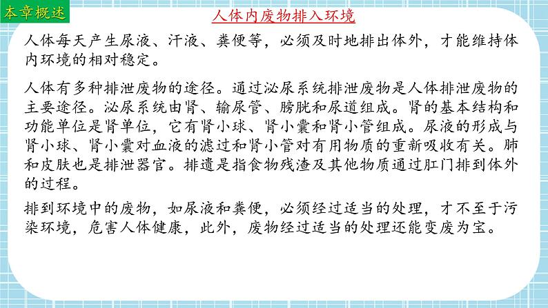 单元复习04 人体内废物排入环境（复习课件）——2022-2023学年人教版生物七年级下册单元综合复习02