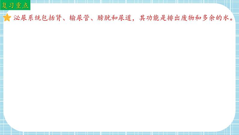 单元复习04 人体内废物排入环境（复习课件）——2022-2023学年人教版生物七年级下册单元综合复习04