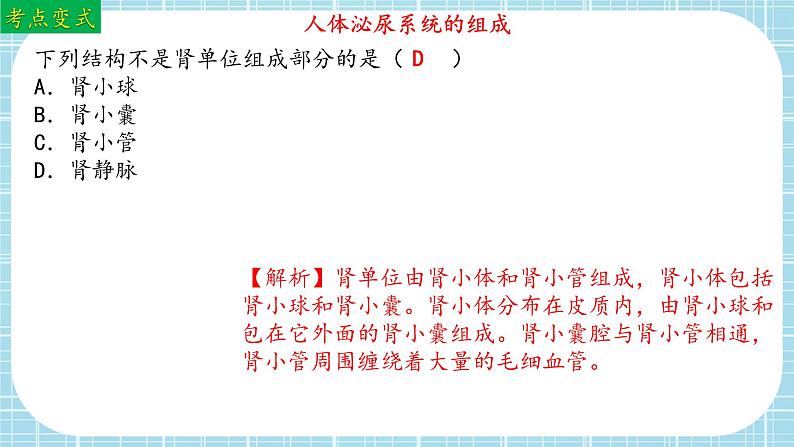 单元复习04 人体内废物排入环境（复习课件）——2022-2023学年人教版生物七年级下册单元综合复习08