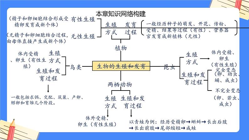 第七单元第1章 生物的生殖和发育（复习课件）——2022-2023学年人教版生物八年级下册单元综合复习02