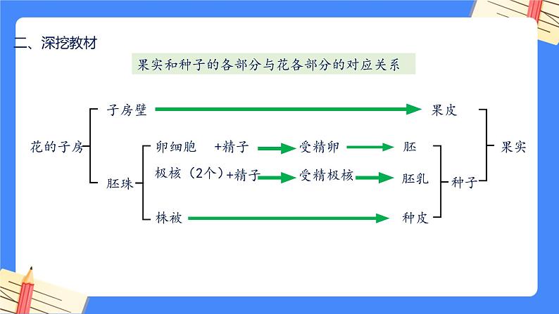 第七单元第1章 生物的生殖和发育（复习课件）——2022-2023学年人教版生物八年级下册单元综合复习06