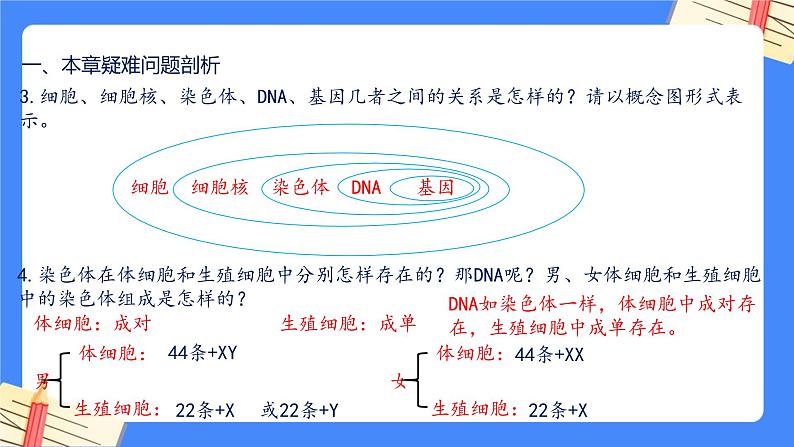 第七单元第2章 生物的遗传与变异（复习课件）- 2022-2023学年人教版生物八年级下册单元综合复习04