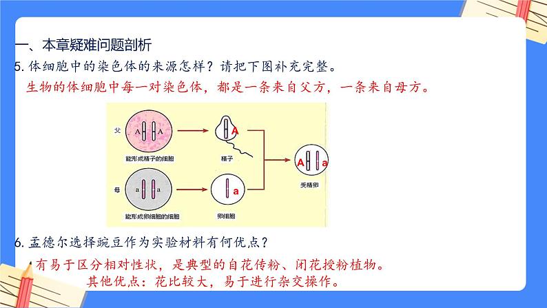 第七单元第2章 生物的遗传与变异（复习课件）- 2022-2023学年人教版生物八年级下册单元综合复习05