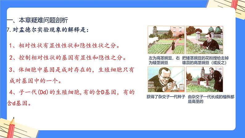 第七单元第2章 生物的遗传与变异（复习课件）- 2022-2023学年人教版生物八年级下册单元综合复习06