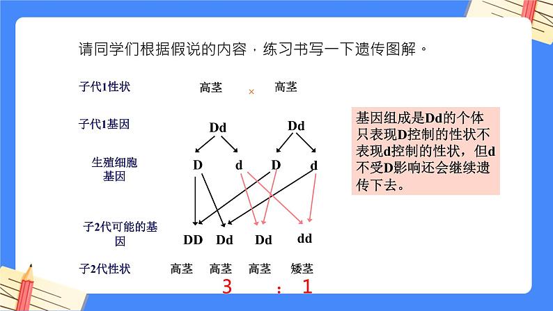 第七单元第2章 生物的遗传与变异（复习课件）- 2022-2023学年人教版生物八年级下册单元综合复习08