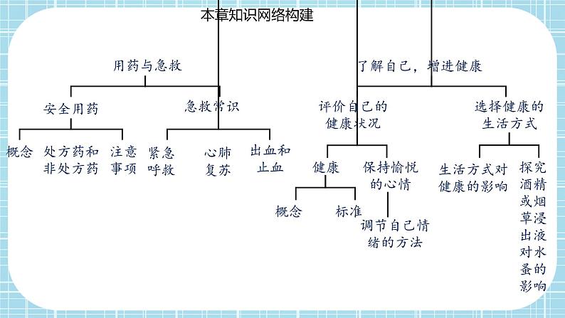 第2章 用药与急救、第3章 了解自己，增进健康（复习课件）——2022-2023学年人教版生物八年级下册单元综合复习02