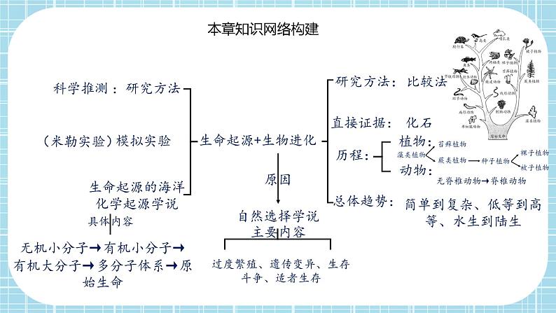 第七单元第3章 生命起源和生物进化（复习课件）——2022-2023学年人教版生物八年级下册单元综合复习02