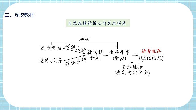 第七单元第3章 生命起源和生物进化（复习课件）——2022-2023学年人教版生物八年级下册单元综合复习07